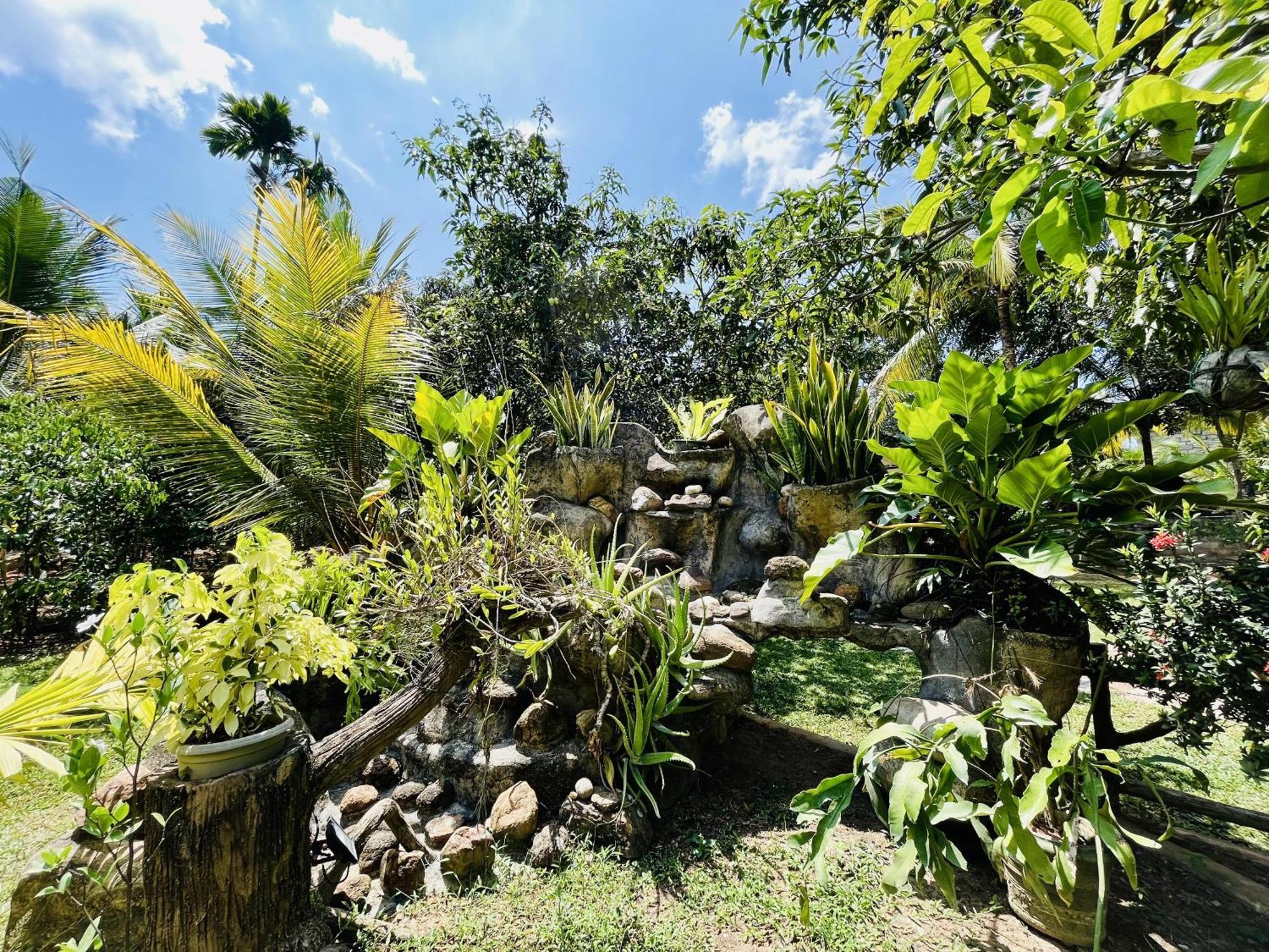 Villa Green Space Матара Екстер'єр фото