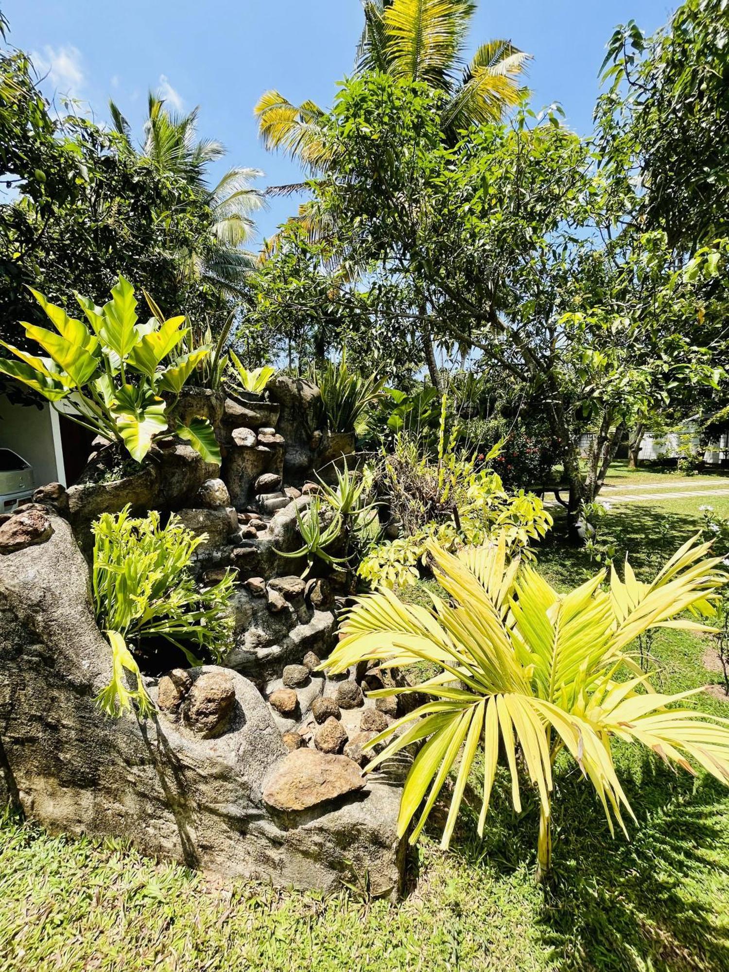 Villa Green Space Матара Екстер'єр фото